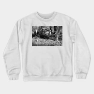 Elsah Study 2 Crewneck Sweatshirt